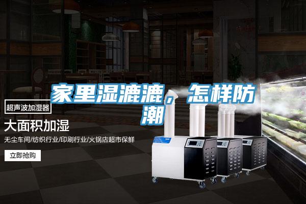 家裏濕漉漉，怎樣防潮