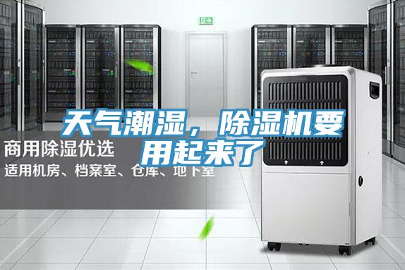 天氣潮濕，草莓小视频黄色要用起來了