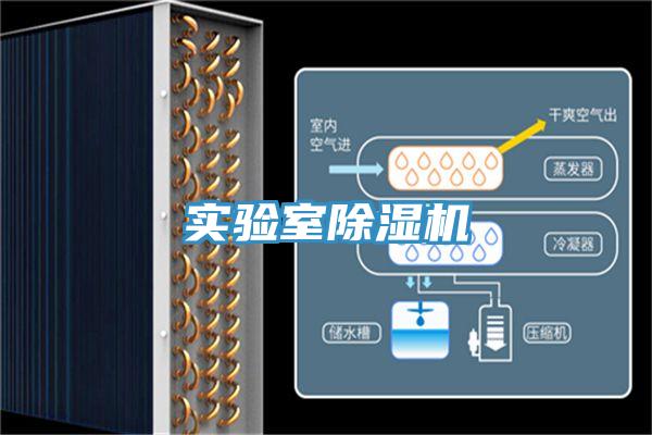 實驗室草莓小视频黄色