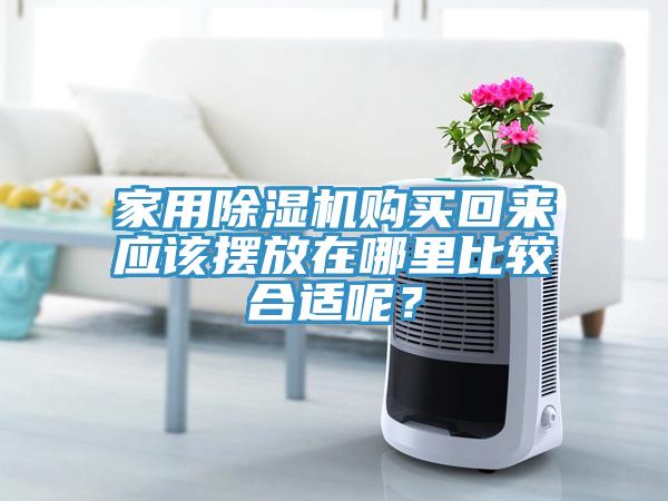 家用草莓小视频黄色購買回來應該擺放在哪裏比較合適呢？