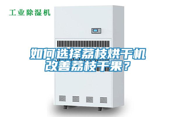 如何選擇荔枝烘幹機改善荔枝幹果？