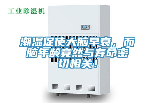 潮濕促使大腦早衰，而腦年齡竟然與壽命密切相關！