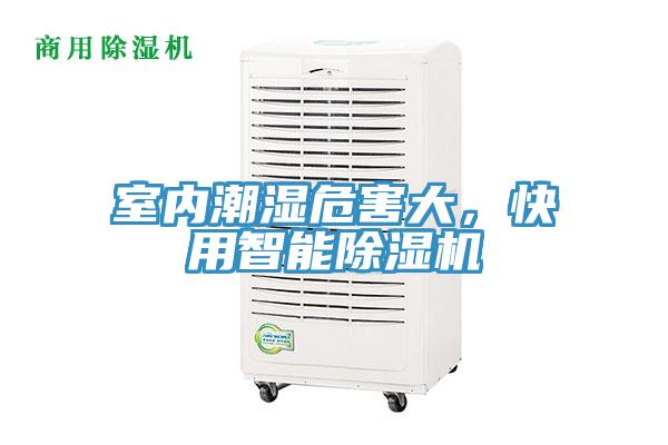 室內潮濕危害大，快用智能草莓小视频黄色