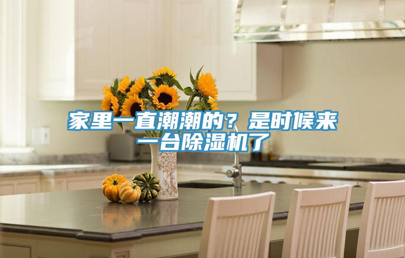 家裏一直潮潮的？是時候來一台草莓小视频黄色了