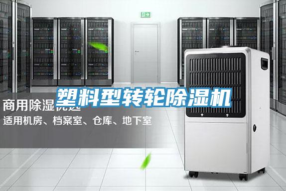 塑料型轉輪草莓小视频黄色