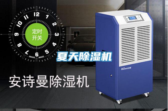 夏天草莓小视频黄色