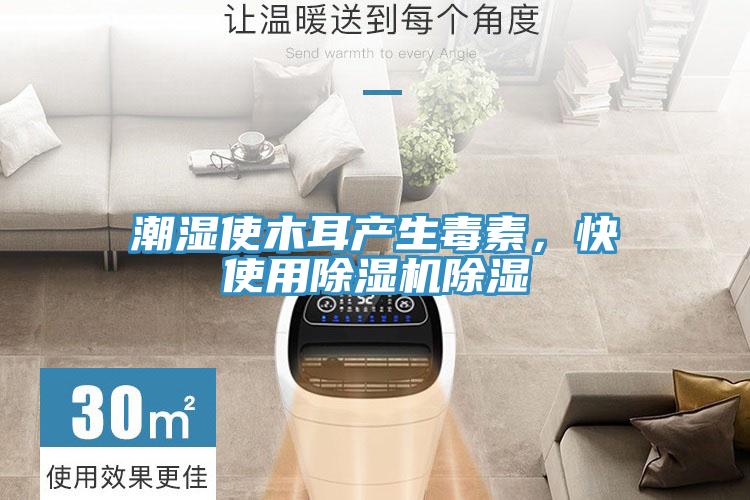 潮濕使木耳產生毒素，快使用草莓小视频黄色除濕