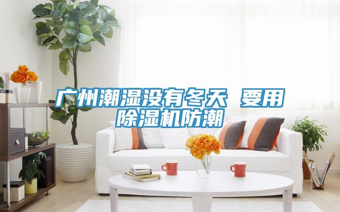 廣州潮濕沒有冬天 要用草莓小视频黄色防潮