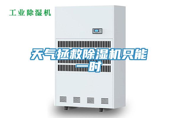 天氣拯救草莓小视频黄色隻能一時