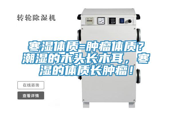 寒濕體質=腫瘤體質？潮濕的木頭長木耳，寒濕的體質長腫瘤！