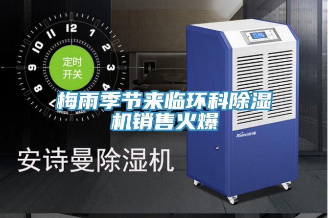 梅雨季節來臨環科草莓小视频黄色銷售火爆