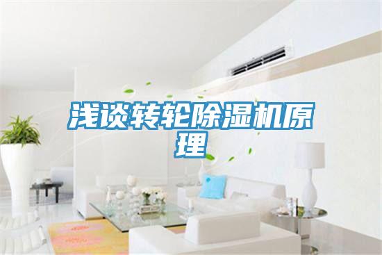 淺談轉輪草莓小视频黄色原理
