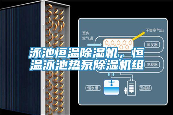 泳池恒溫草莓小视频黄色，恒溫泳池熱泵草莓小视频黄色組