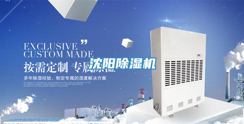 沈陽草莓小视频黄色