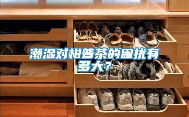 潮濕對柑普茶的困擾有多大？