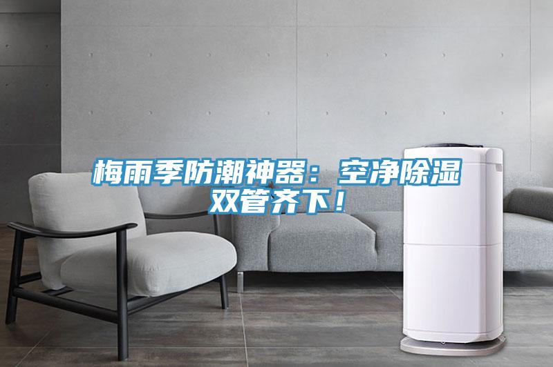 梅雨季防潮神器：空淨除濕雙管齊下！