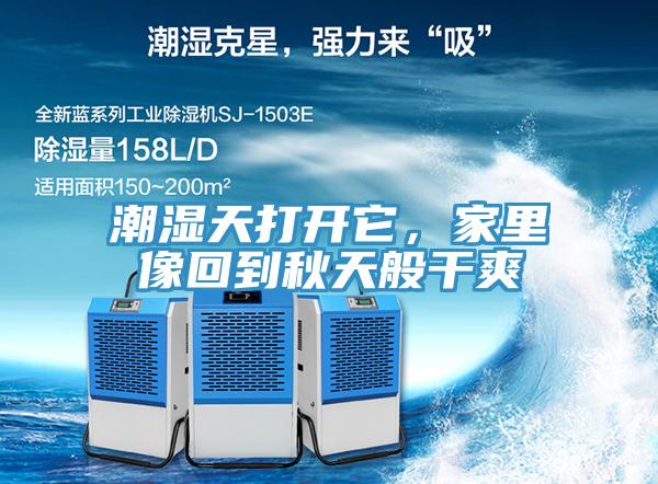 潮濕天打開它，家裏像回到秋天般幹爽
