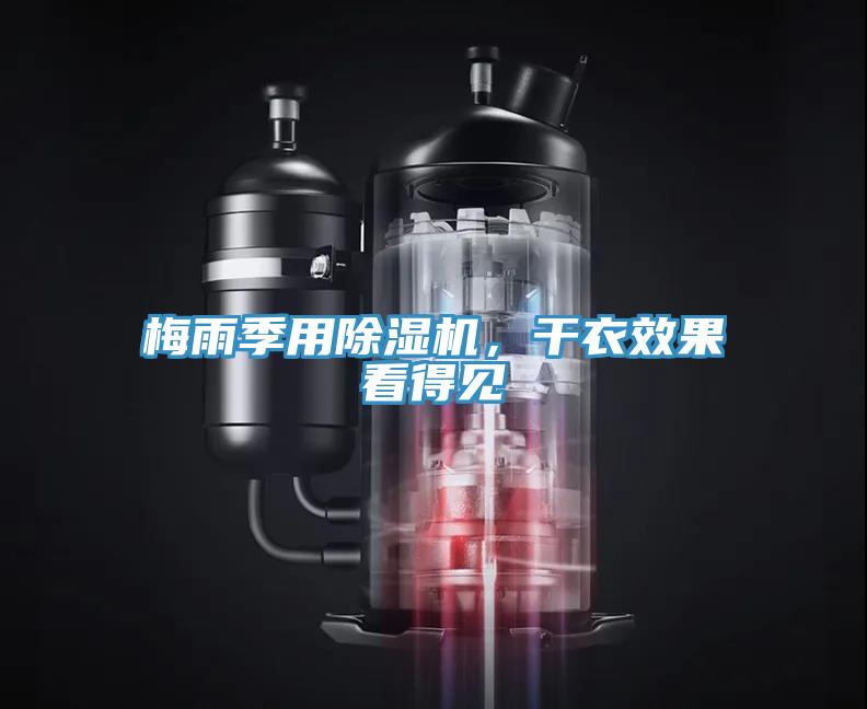 梅雨季用草莓小视频黄色，幹衣效果看得見