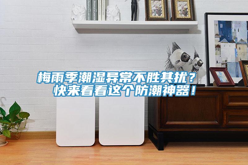 梅雨季潮濕異常不勝其擾？ 快來看看這個防潮神器！