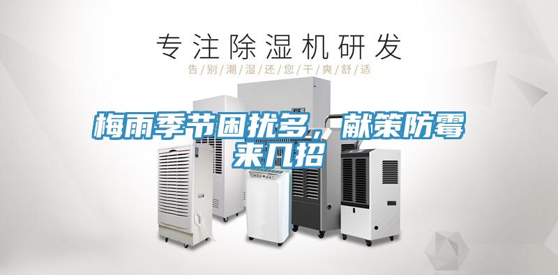 梅雨季節困擾多，獻策防黴來幾招