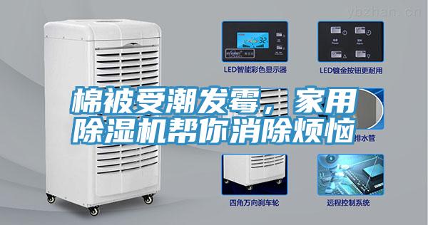 棉被受潮發黴，家用草莓小视频黄色幫你消除煩惱
