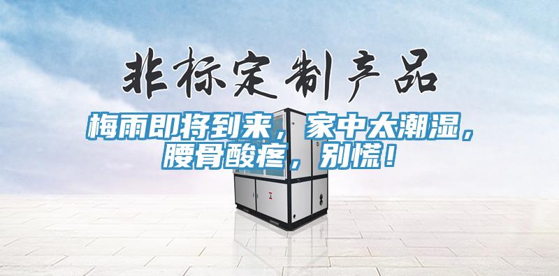 梅雨即將到來，家中太潮濕，腰骨酸疼，別慌！