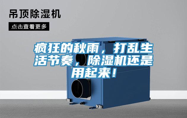 瘋狂的秋雨，打亂生活節奏，草莓小视频黄色還是用起來！