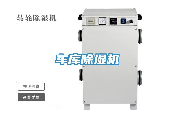 車庫草莓小视频黄色