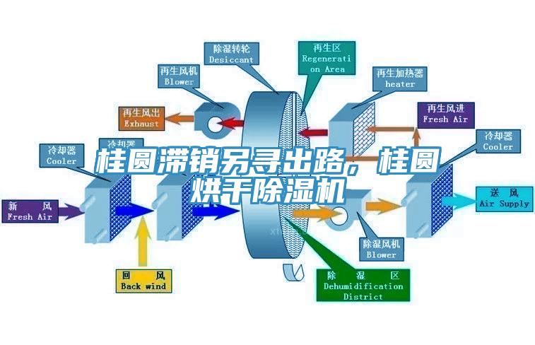桂圓滯銷另尋出路，桂圓烘幹草莓小视频黄色