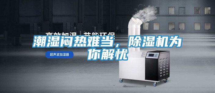 潮濕悶熱難當，草莓小视频黄色為你解憂