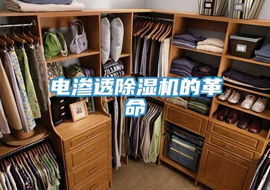 電滲透草莓小视频黄色的革命