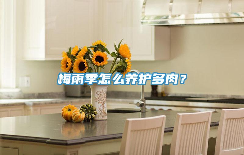 梅雨季怎麽養護多肉？