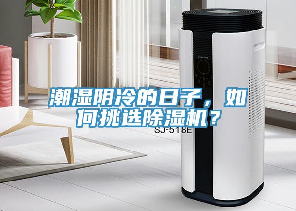 潮濕陰冷的日子，如何挑選草莓小视频黄色？