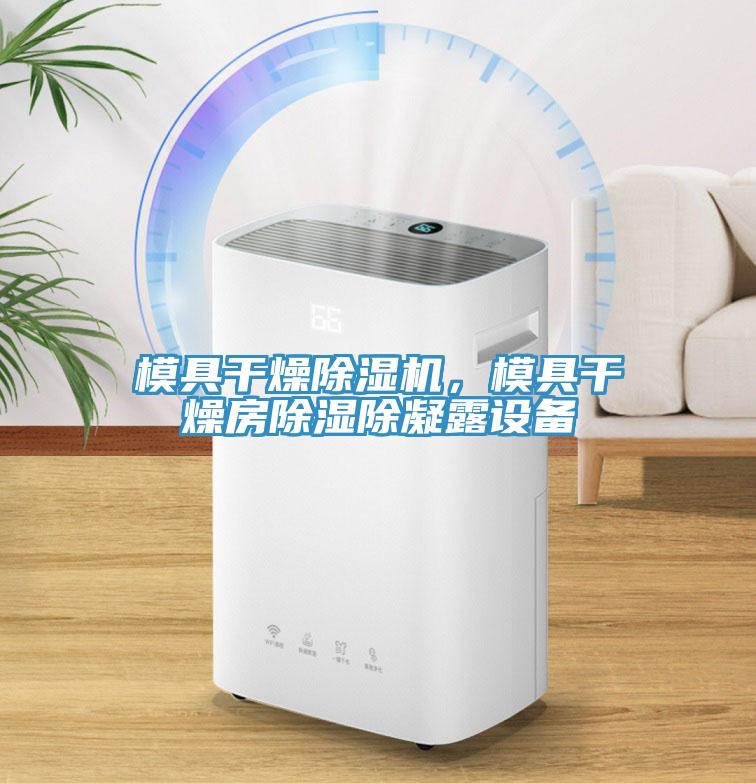 模具幹燥草莓小视频黄色，模具幹燥房除濕除凝露設備