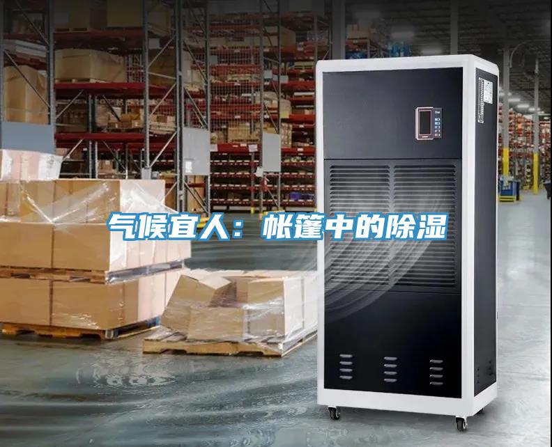 氣候宜人：帳篷中的除濕