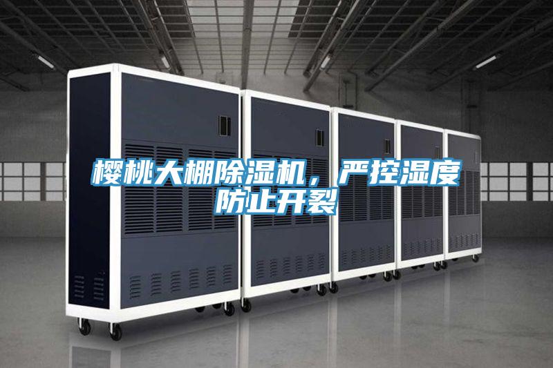 櫻桃大棚草莓小视频黄色，嚴控濕度防止開裂