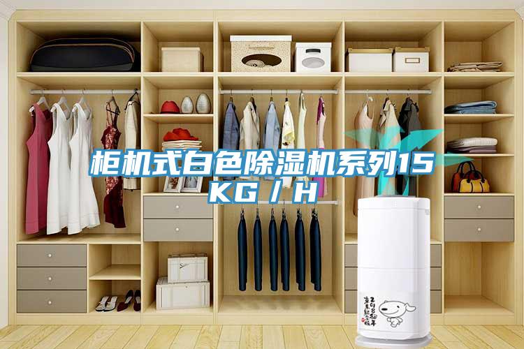櫃機式白色草莓小视频黄色係列15KG／H