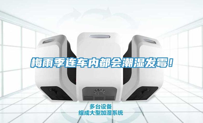 梅雨季連車內都會潮濕發黴！