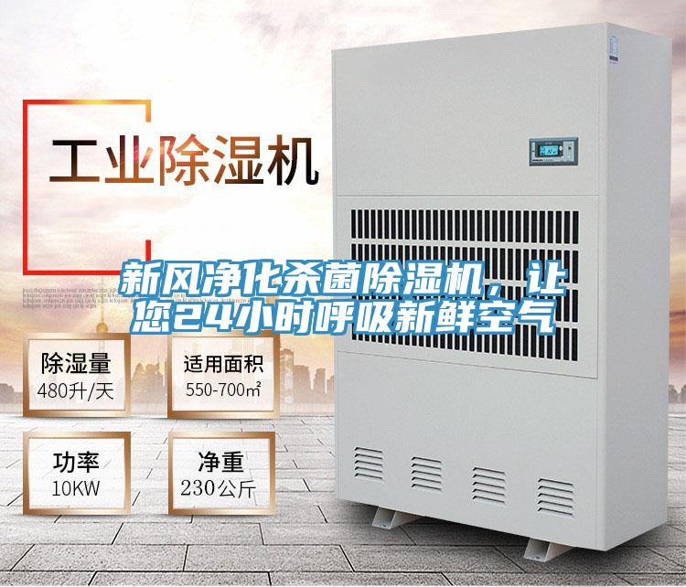 新風淨化殺菌草莓小视频黄色，讓您24小時呼吸新鮮空氣