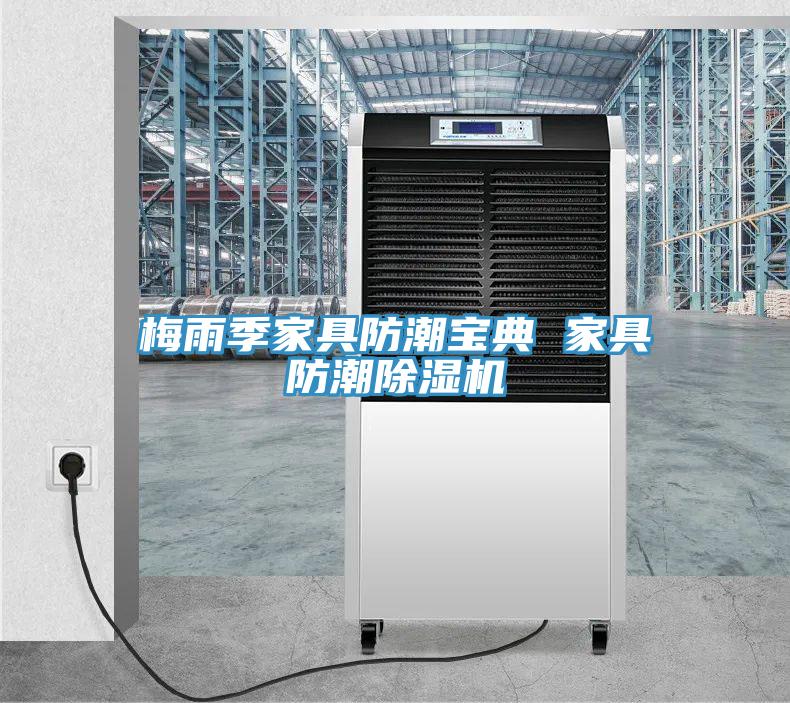 梅雨季家具防潮寶典 家具防潮草莓小视频黄色