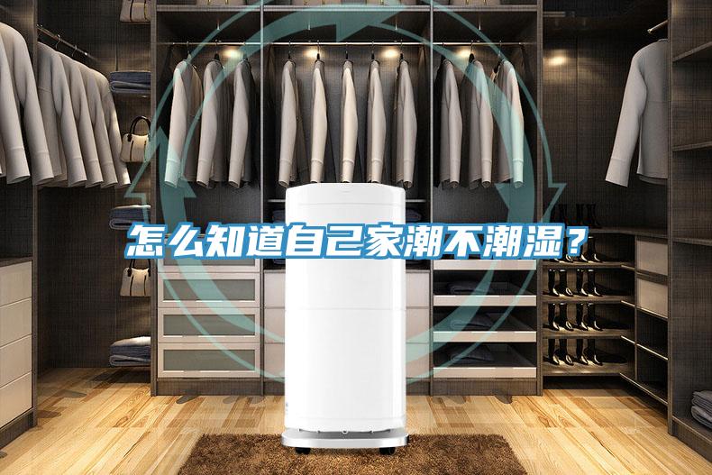怎麽知道自己家潮不潮濕？