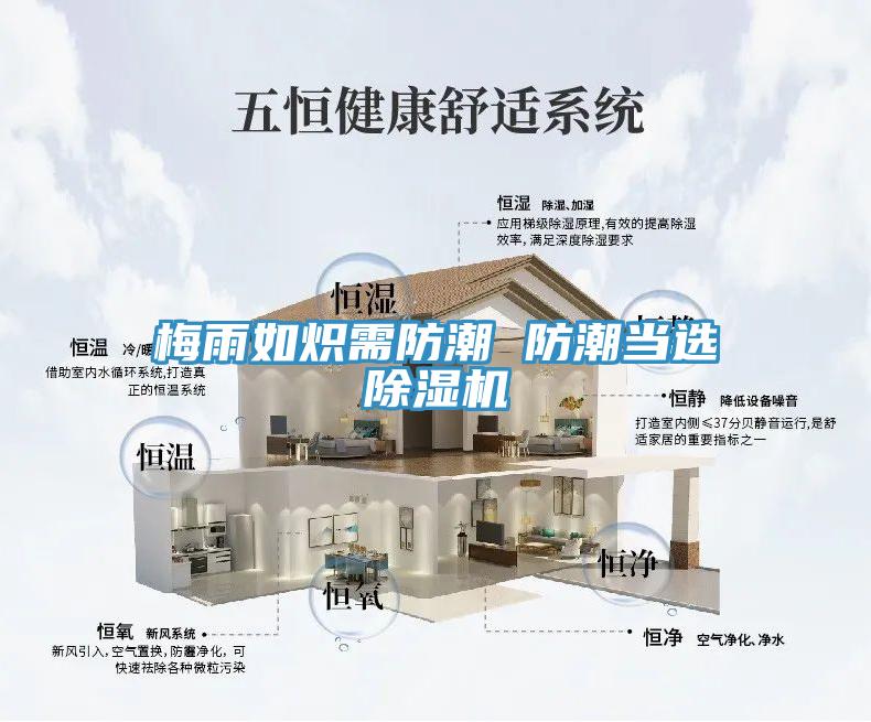 梅雨如熾需防潮 防潮當選草莓小视频黄色