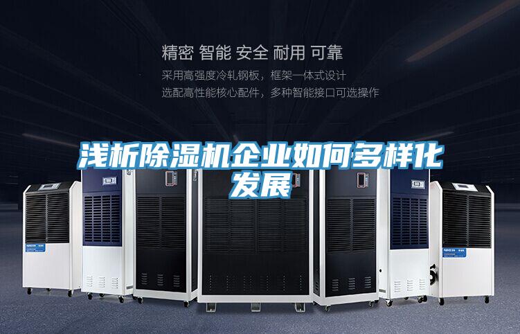 淺析草莓小视频黄色企業如何多樣化發展