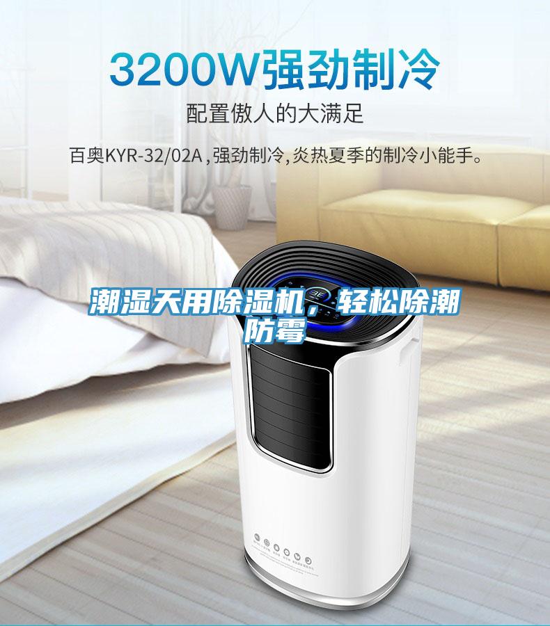 潮濕天用草莓小视频黄色，輕鬆除潮防黴