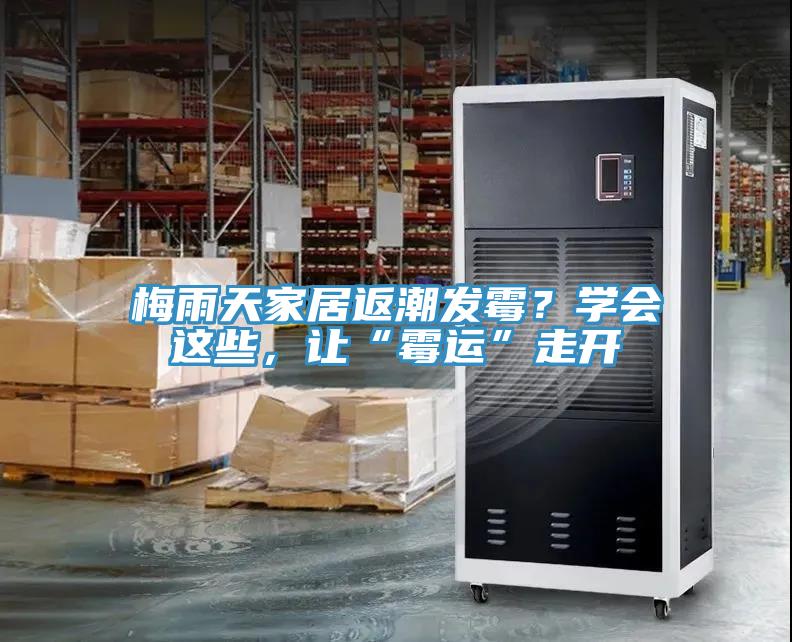 梅雨天家居返潮發黴？學會這些，讓“黴運”走開
