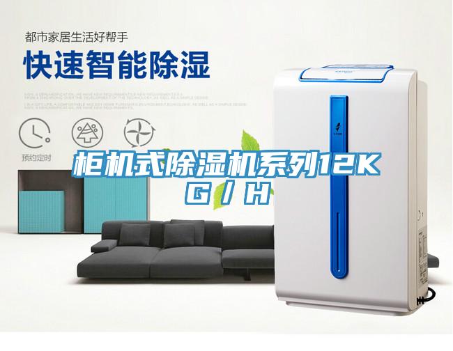 櫃機式草莓小视频黄色係列12KG／H