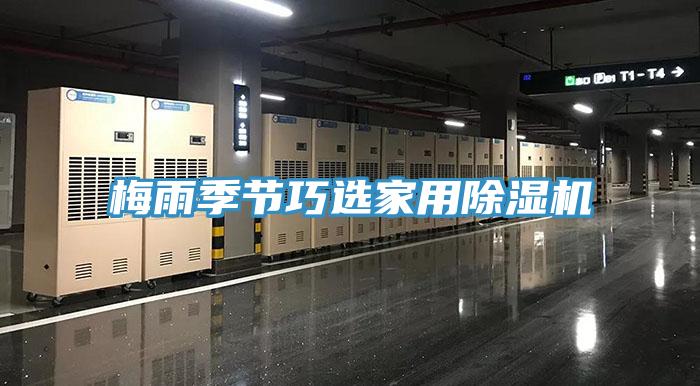 梅雨季節巧選家用草莓小视频黄色