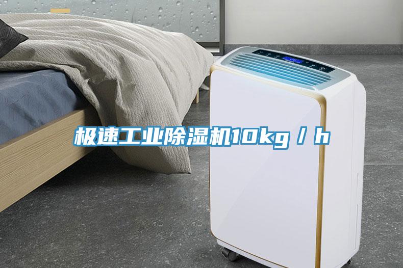 極速工業草莓小视频黄色10kg／h