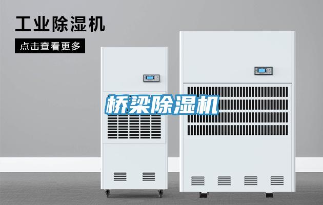 橋梁草莓小视频黄色
