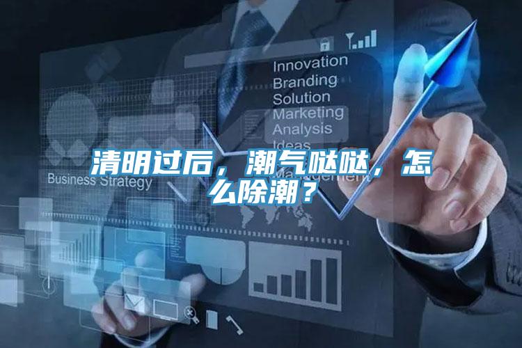 清明過後，潮氣噠噠，怎麽除潮？